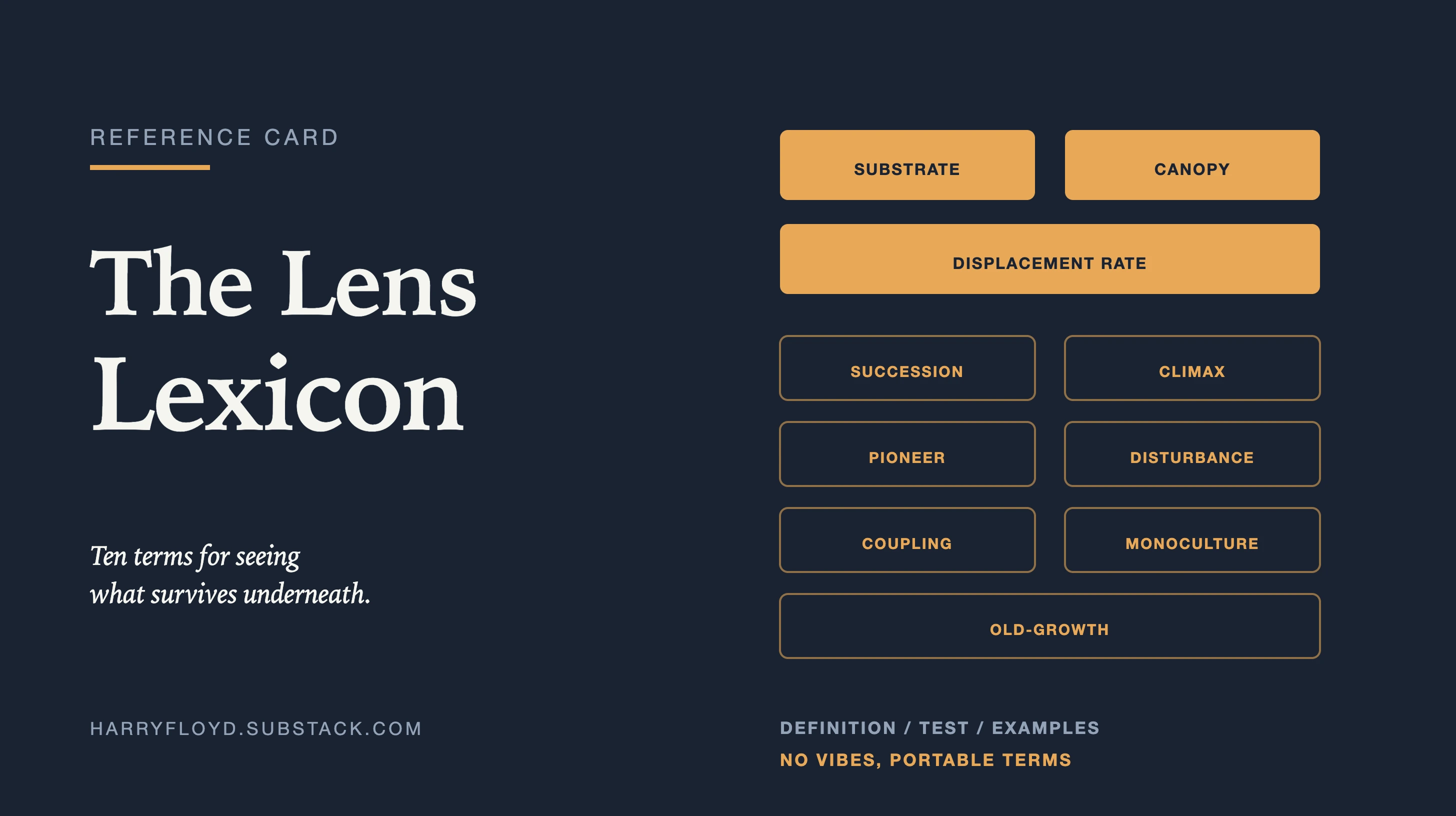 The Lens Lexicon